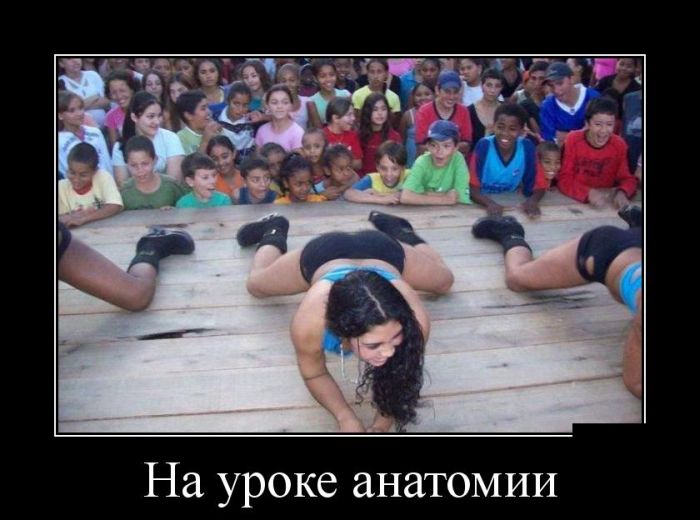 Демотиваторы  демотиваторы, прикол, смех, юмор