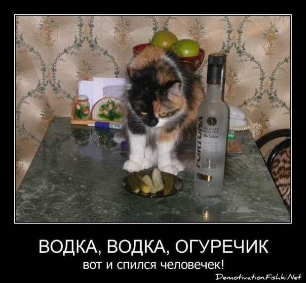 Демотиваторы. Часть 125. (89 фото)