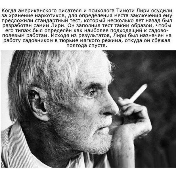 Познавательные факты о знаменитых людях (13 фото)