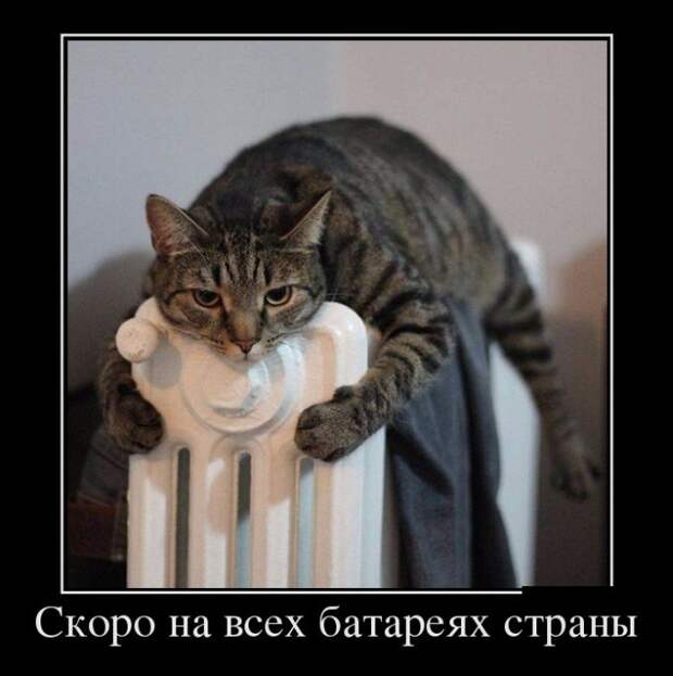 Демотиваторы (30 фото)