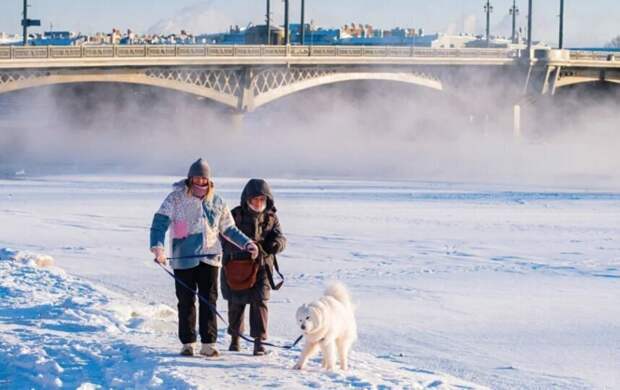 Мороз и солнце обещают Петербургу 8 января