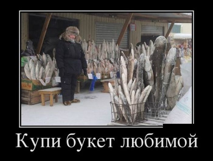Демотиваторы (30 фото)