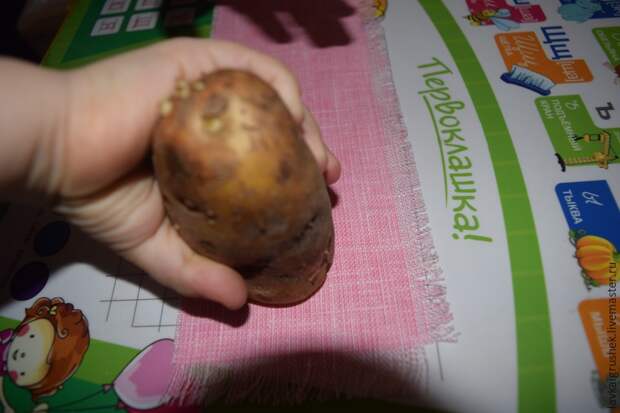 декор декор