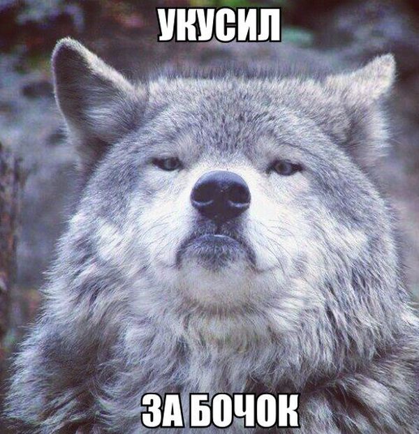 Прикольные картинки (105 фото)