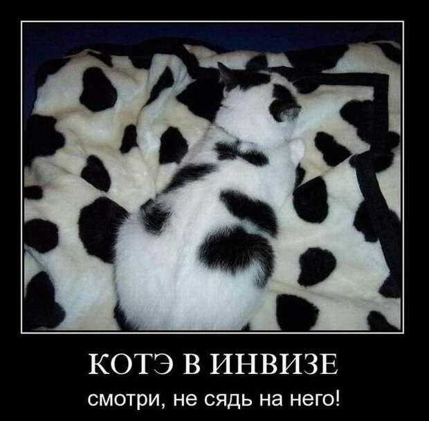 Демотиваторы демотиваторы, прикол, смех, юмор