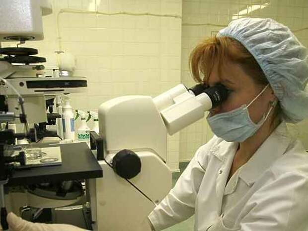 Росстат фиксирует улучшение показателей российской науки