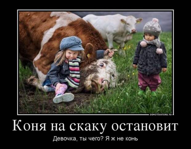 Демотиваторы демотиваторы