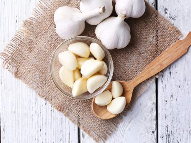 garlic