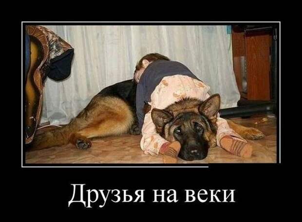 Демотиваторы (30 фото)