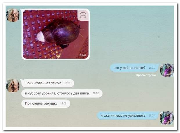 15 комментариев из соцсетей от 29 апреля