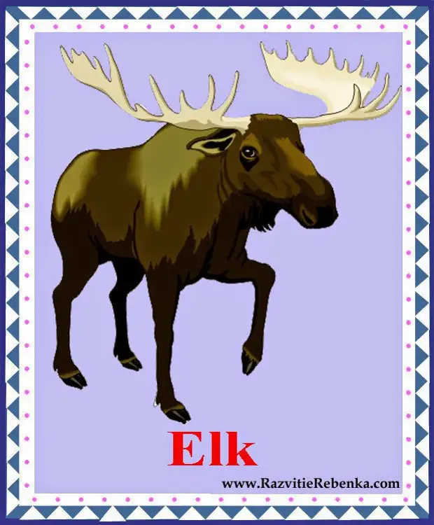 Elk перевод на русский