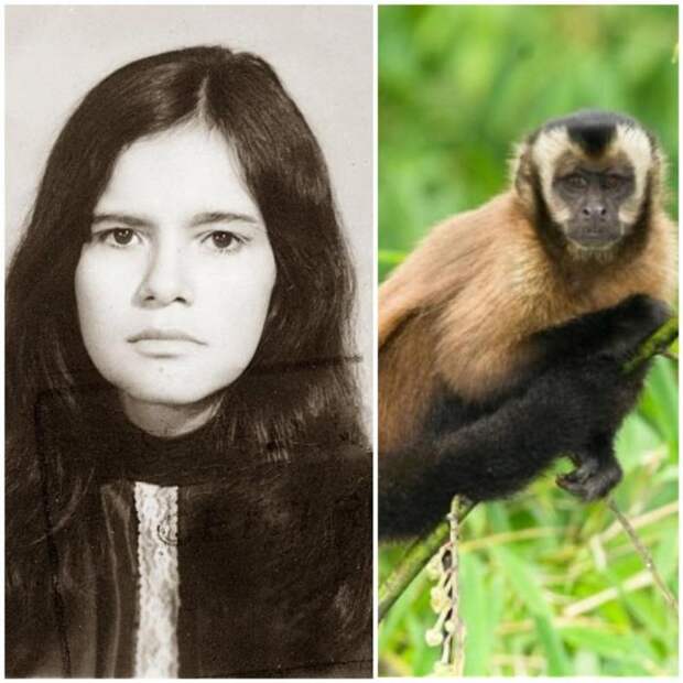 Марину Чапман воспитали обезьяны