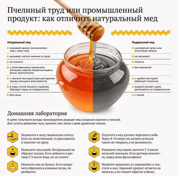 Удивительно полезные свойства меда и холодной воды Удивительно полезные свойства меда и холодной воды