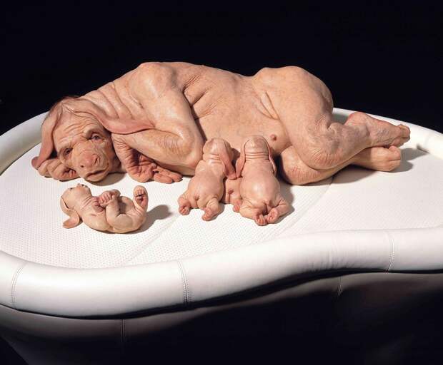 Пугающие работы Patricia Piccinini
