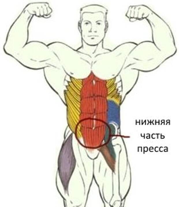 Рисунок нижней части пресса