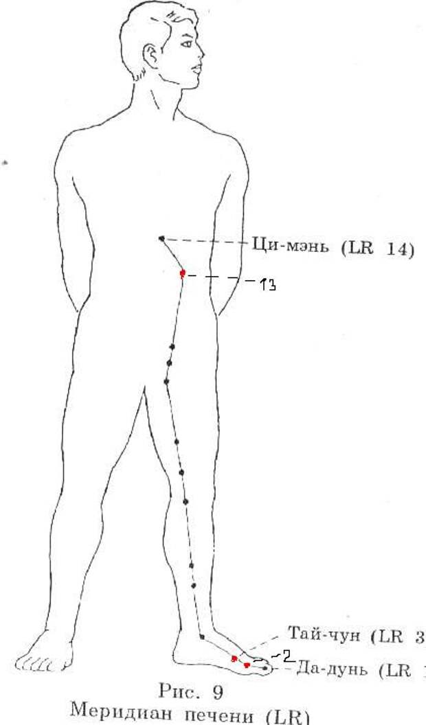 Меридианы на ногах человека схема