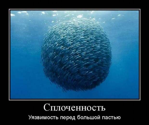 Демотиваторы. Подборка chert-poberi-chert-poberi-58490425032020-12 картинка chert-poberi-58490425032020-12