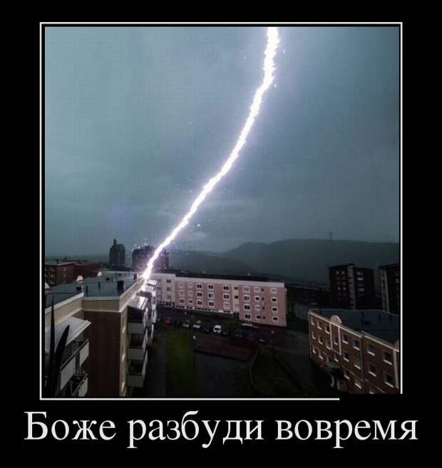 Демотиваторы №1184 (30 фото)