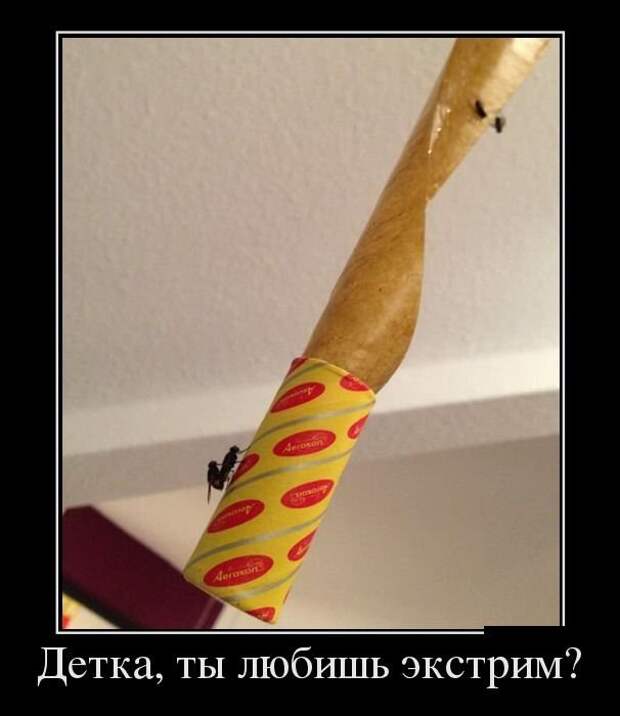Демотиваторы демотиваторы, прикол, смех, юмор