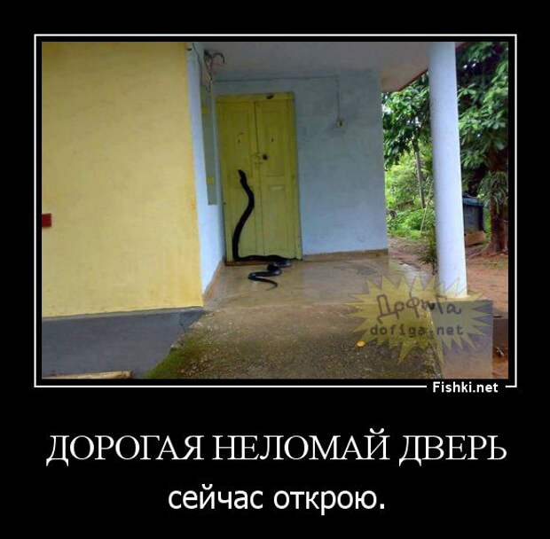 Демотиваторы демотиваторы, прикол, смех, юмор