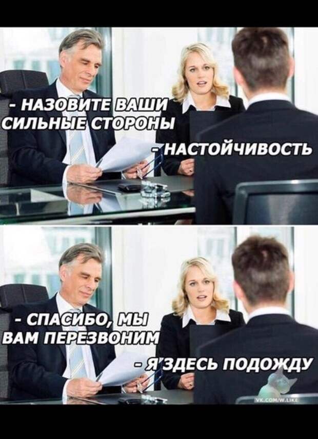 Собеседование смешные картинки