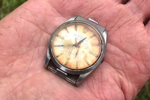 Mirror: металлоискатель из Британии нашел часы Rolex, съеденные коровой 50 лет назад