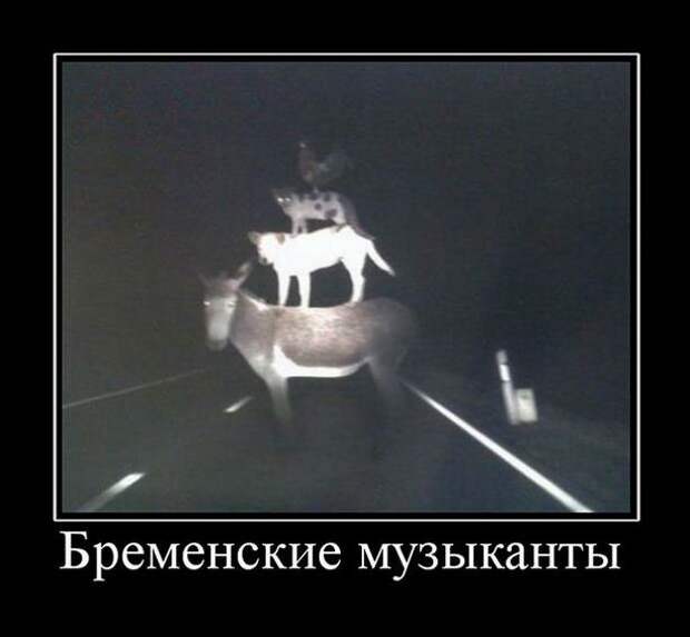 Бременские музыканты