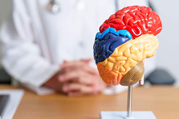 JAMA: перенесенная в детстве химиотерапия может повышать риск опухоли мозга