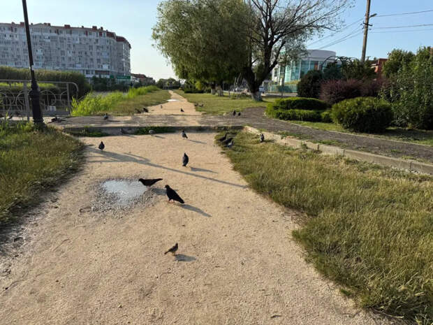 6 мая решится судьба лета: что предки знали о погоде без Гидрометцентра и почему эта примета работает до сих пор