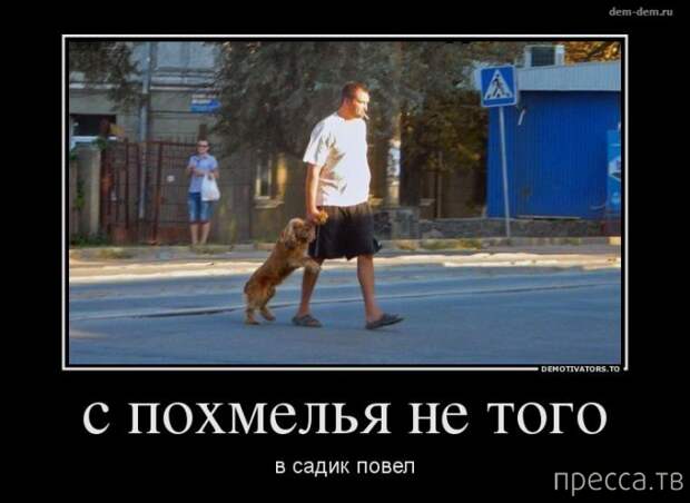 Самые злобные демотиваторы, часть 35 (40 фото)