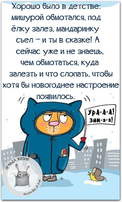 Смешная правда жизни, рассмешит вас