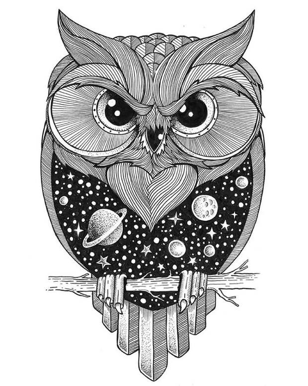 Owl