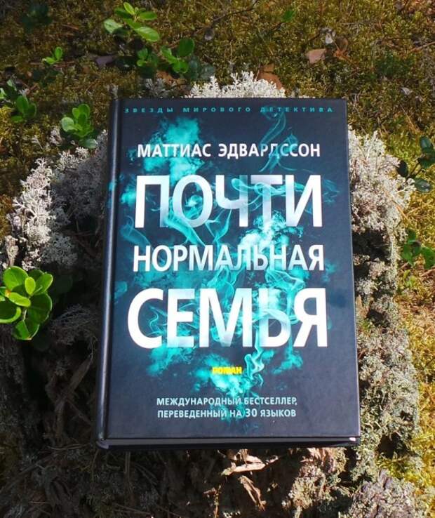 Маттиас Эдвардссон, «Почти нормальная семья». / Фото: www.yandex.net