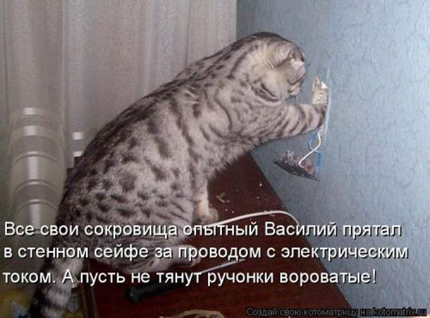 Котоматрица на Бугаге (37 фото)