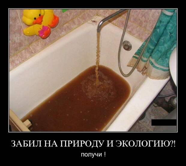 Демотиваторы (107 фото)