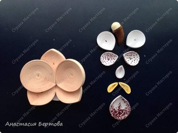 Картина панно рисунок Мастер-класс Квиллинг По секрету всему свету Бумажные полосы Клей Пастель Проволока фото 29