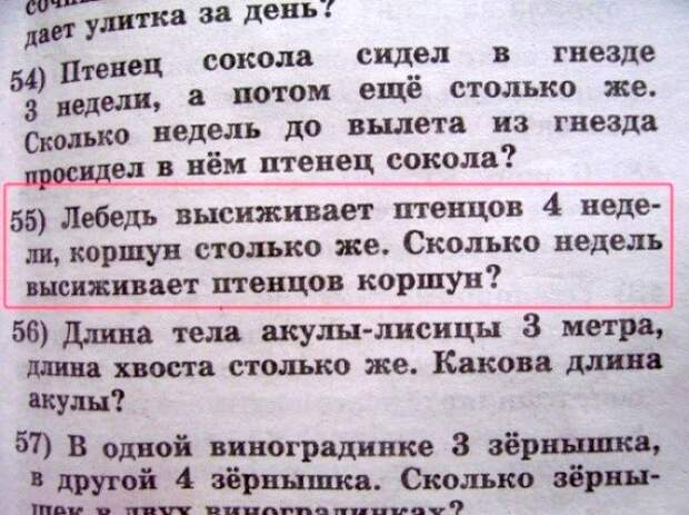 Идиотские учебники или не решаемые задания образование, книги, юмор, картинки