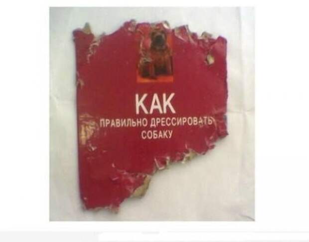 14 демотиваторы, прикол, юмор