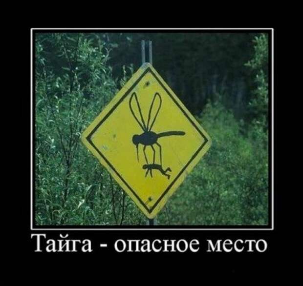 Демотиваторы про русских, наши приколы!