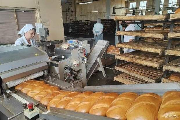 В Тамбовском правительстве уверены, что закрытие хлебозавода не скажется на розничном рынке хлеба