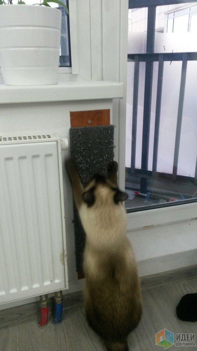 Наполнение кухонного гарнитура Наполнение кухонного гарнитура