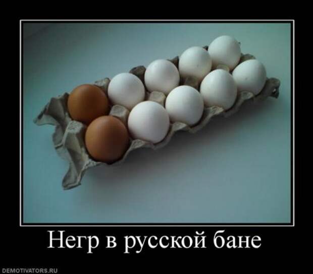 Демотиваторы, юмор дня, фотки с прикольными подписями.
