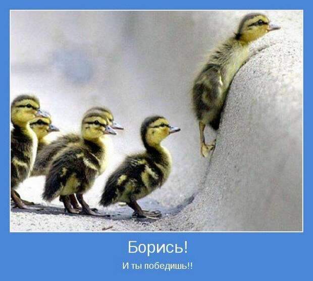 Мотиваторы VII Мотиваторы