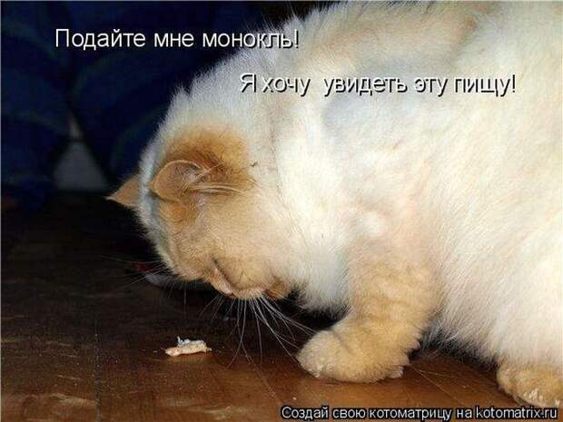 Мысли вслух :)