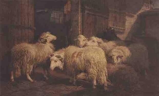 Август Фридрих Альбрехт Шенк и его овечки.