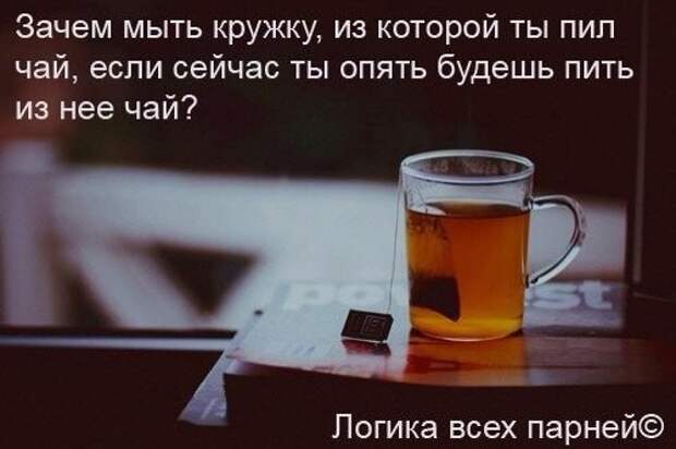 Смешные картинки с надписями прикол, юмор