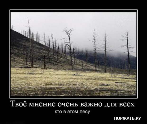 Прикольные демотиваторы (часть 2)