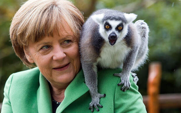 Ангела Меркель и лемур на открытии зооцентра в Германии