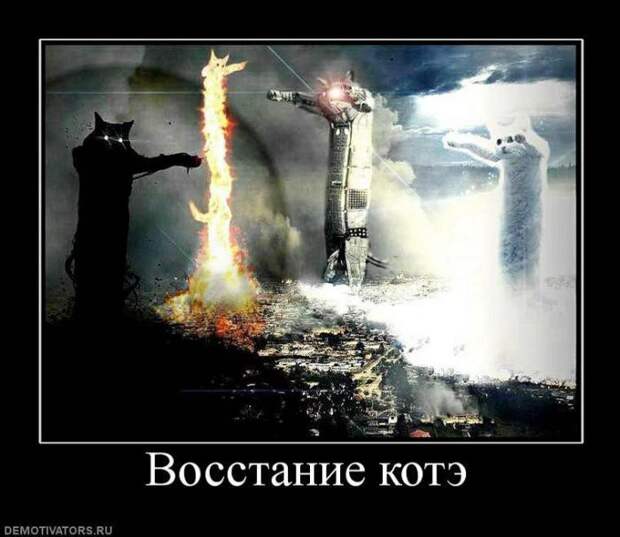 Демотиваторы демотиваторы, юмор