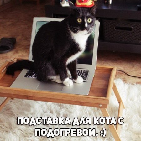 Смешная галерея фотоприколов - 44